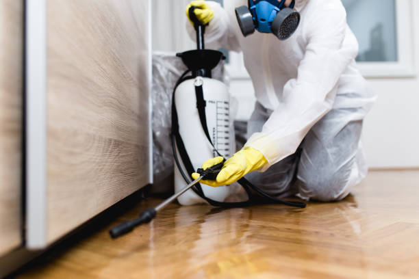 Best Exterminator Services  in Cornelia, GA