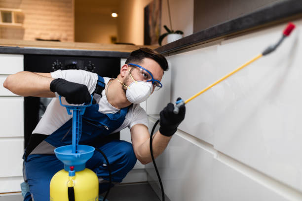 Best Best Pest Control Companies  in Cornelia, GA