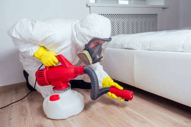 Professional Pest Control in Cornelia, GA