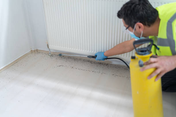 Best Best Pest Control Companies  in Cornelia, GA
