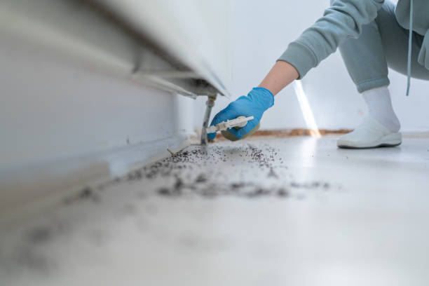 Best Cockroach Control Services  in Cornelia, GA